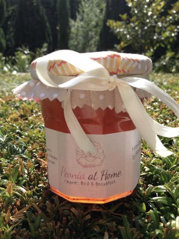 Peonia At Home - Maison D'Hotes D'Exception Mulhouse Exterior foto